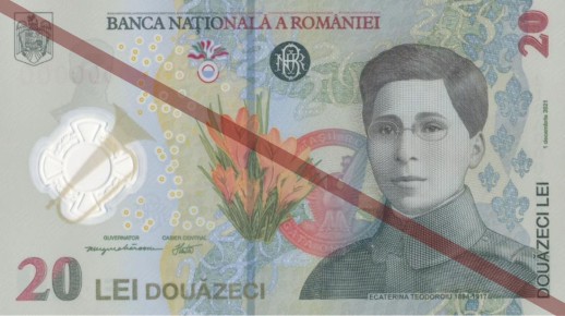 20 Lei Banknote