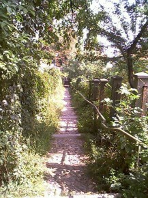 Cluj 2002 - Mihai Cuibus 53