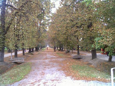 Cluj 2002 - Mihai Cuibus 60