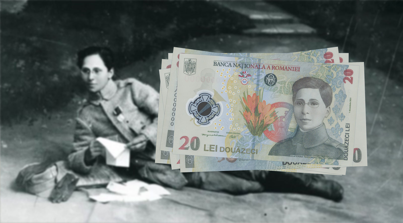 20 Lei Banknote