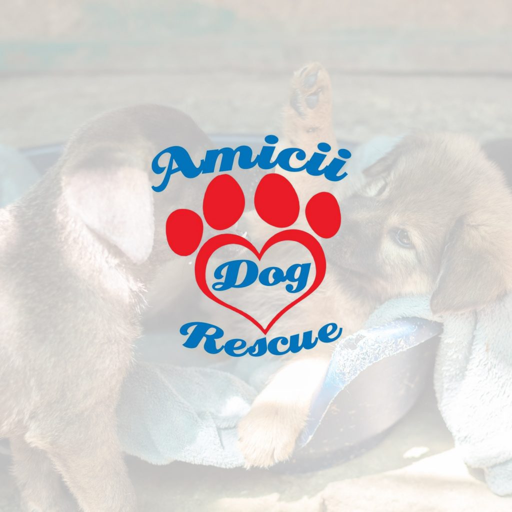 Amicii Dog Rescue