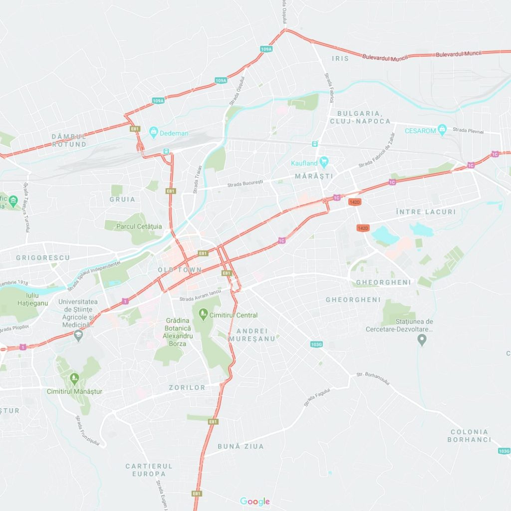 Google Map of Cluj